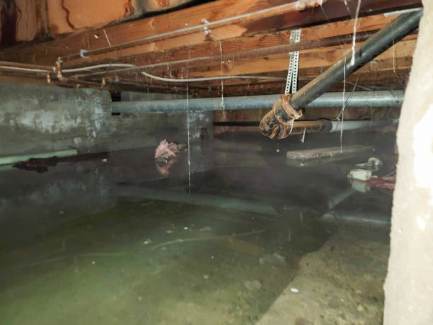 Best Water damage contractors near me  in Austin, MN