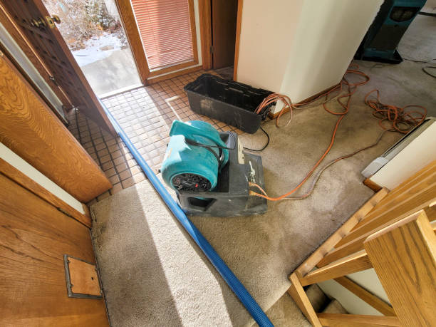 Best Water damage cleanup near me  in Austin, MN
