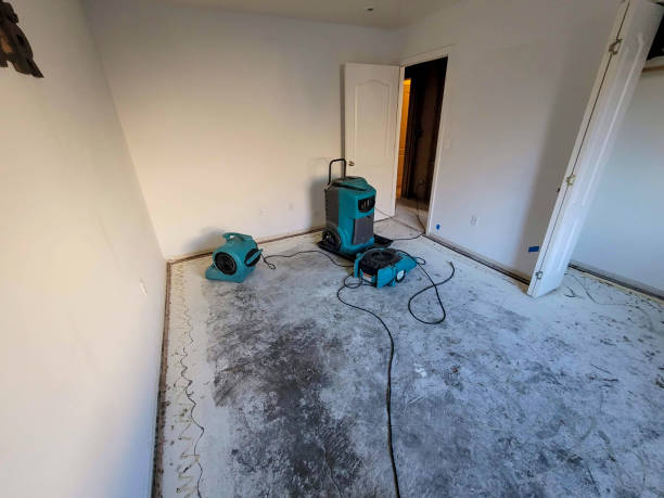 Best Ceiling water damage repair  in Austin, MN