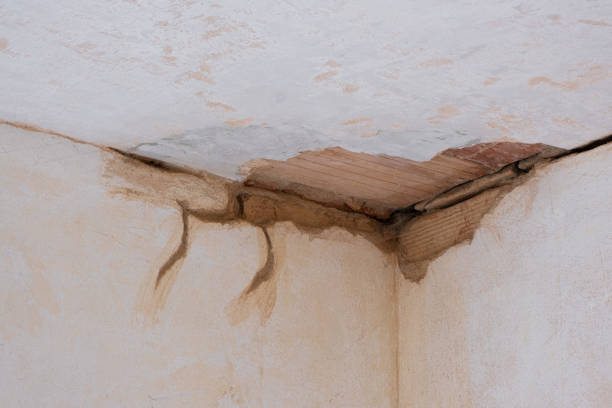 Best 24/7 water damage repair  in Austin, MN