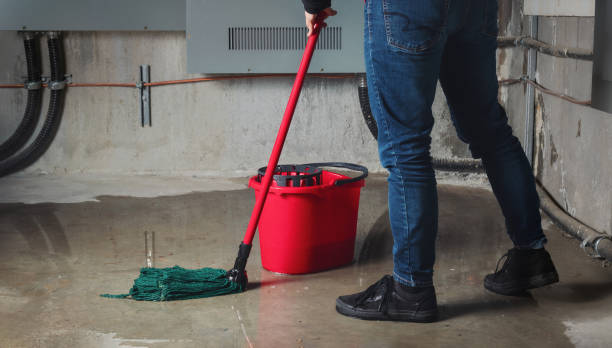 Best Fire Damage Restoration  in Austin, MN