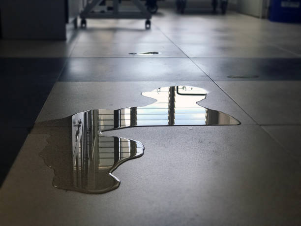Best Commercial water damage restoration  in Austin, MN