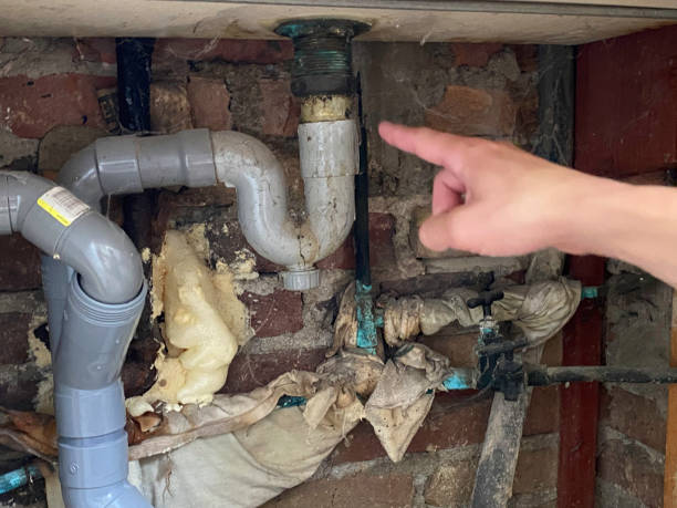 Best Basement water damage restoration  in Austin, MN