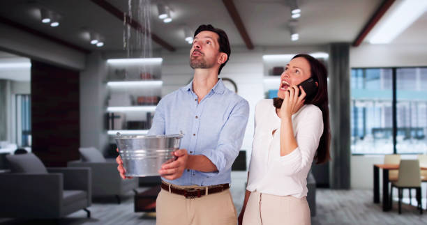 Best Local water damage restoration  in Austin, MN